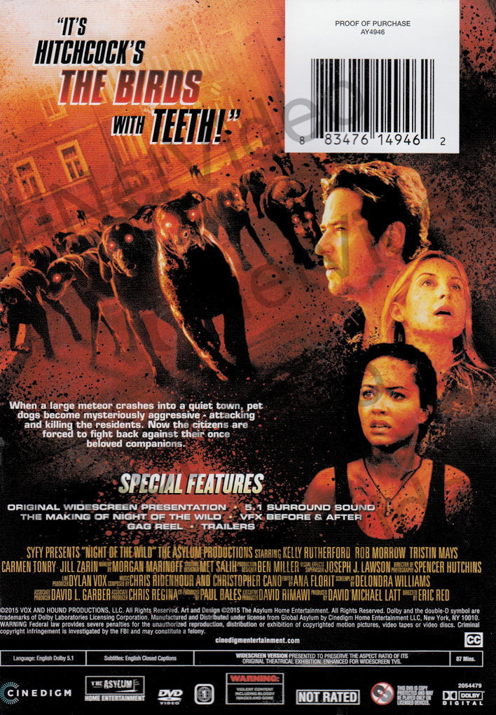 Night Of The Wild on DVD Movie